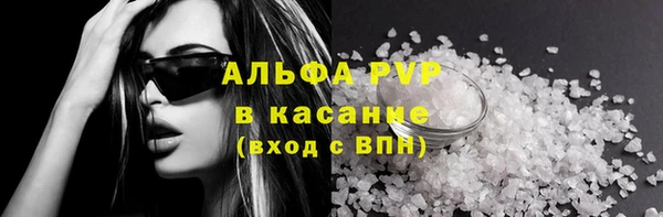 крисы Алзамай
